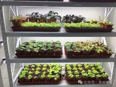 &#20048;&#25237;&#32593;&#39029;&#29256;&#45;&#20048;&#25237;&#65288;&#20013;&#22269;&#65289;