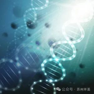 &#20048;&#25237;&#32593;&#39029;&#29256;&#45;&#20048;&#25237;&#65288;&#20013;&#22269;&#65289;